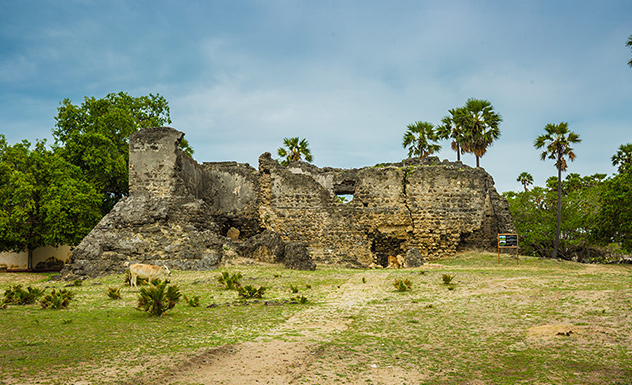 A Visit To Delft Island Slider 5