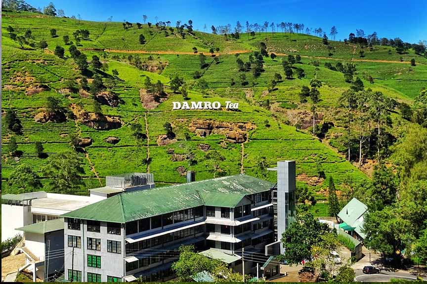 Damro Labookellie Tea Centre And Tea Garden
